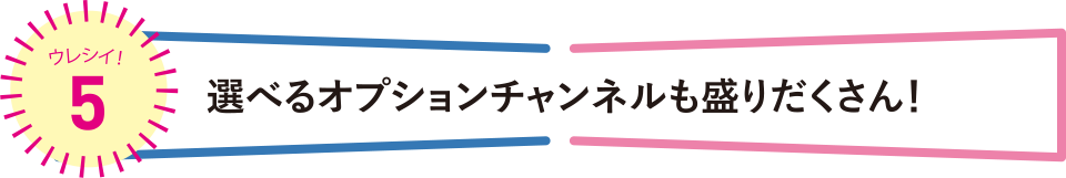 ウレシイ！5 選べるオプションチャンネルも盛りだくさん！