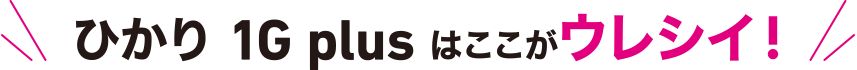 ひかり1G plusはここがウレシイ！