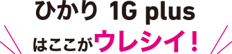 ひかり1G plusはここがウレシイ！