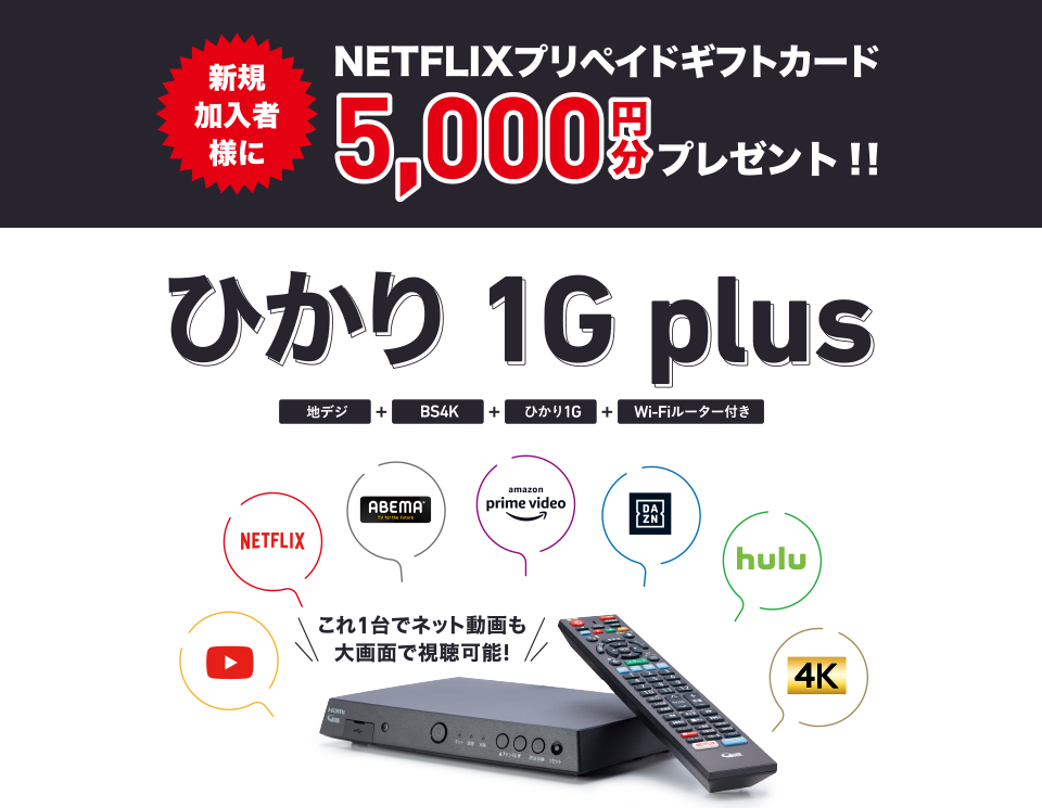 新規加入者様にNETFLIXプリペイドギフトカード5,000円分プレゼント！！ひかり1G plus