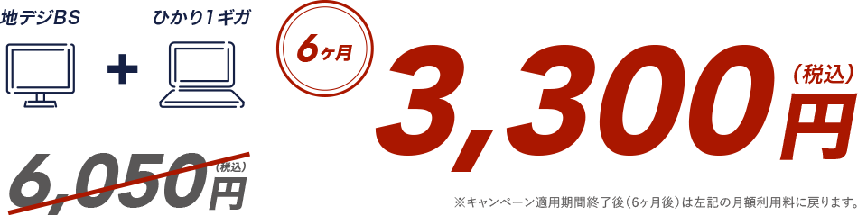 6ヵ月3,300円（税込）