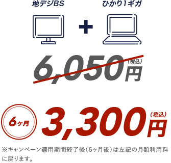 6ヵ月3,300円（税込）