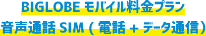 BIGLOBE モバイル料金プラン 音声通話SIM (電話+データ通信)