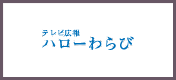 テレビ広報ハローわらび